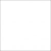 3101. Blanco Brillant